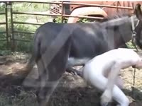 Guy excites bull and acquires drilled